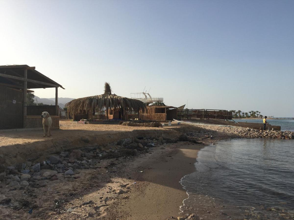 Sina Star Camp Hotel Nuweiba Exterior photo